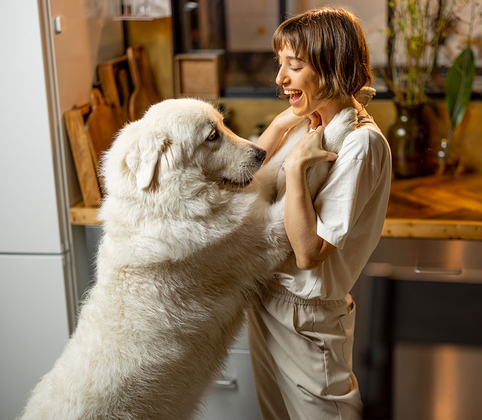¿Por qué tu perro te sigue para todos lados?