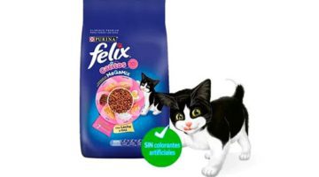 Purina Felix Gatitos